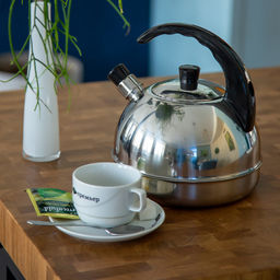 Чайник 3,0л. со свистком арт.1с044 Аша