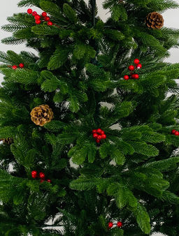 Ель литая круглые ветки (шишки, ягоды) 210 см - Ип лебедев о.ю фото 2
