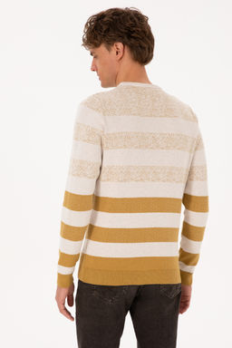 Erkek Regular Fit Bisiklet Yaka Hardal Kazak - U.s. polo assn фото 12