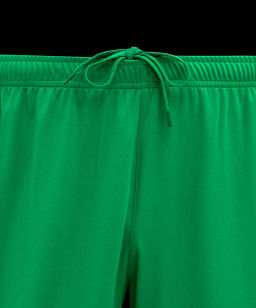 Шорты игровые JOGEL DIVISION PerFormDRY Union Shorts, зеленый