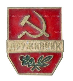 Значок Дружинник