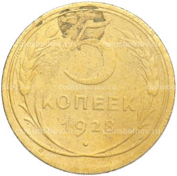 Монета 5 копеек 1928 года