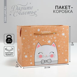 Цена за 2 шт. Пакет—коробка «Сюрприз!», 23×18×11 см
