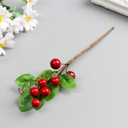 Цена за 24 шт. Декор для творчества, веточка с 7-ю ягодками, 20×5 см