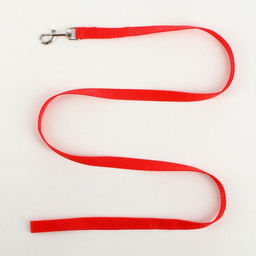 Комплект Базис, поводок 120 х 1,5 см, ОГ 32-46 см, красный - Пижон фото 4