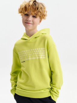 PELICAN, толстовка для мальчиков, Яблочный