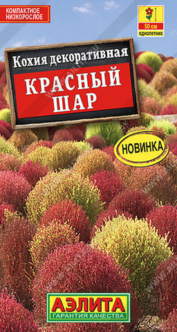 Кохия Красный шар (2026)