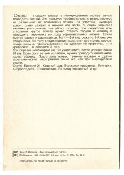 Открытка Слива