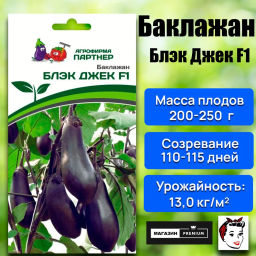 Баклажан Блэк Джек - Партнер фото 5