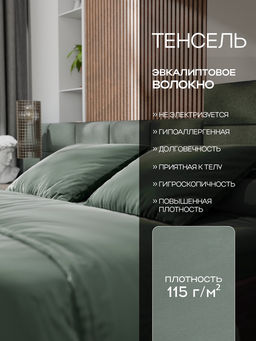 Постельное бельё евро «Этель», тенсель, оливковое