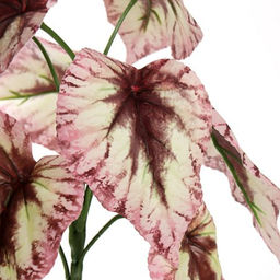 Зелень искусственная Бегония 30 см / W335115 /уп 400/ - Галеонтрейд фото 6