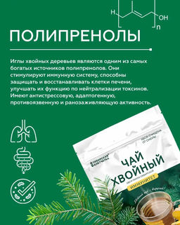 Хвойный чай "Иммунитет" (напиток чайный), ф/пак 2 г №20