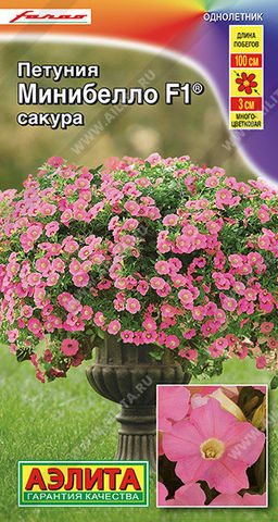 1729A Петуния мини Минибелло F1 сакура многоцветковая 5шт