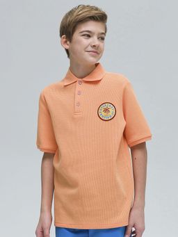 Pelican BFTP4321/1 футболка для мальчиков