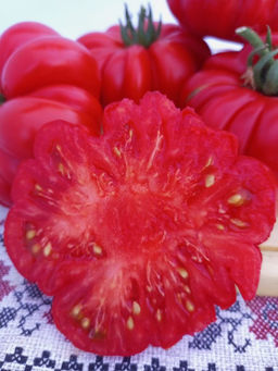 Томат ЖЕНСКАЯ ДОЛЯ F1 - Уральский дачник фото 4