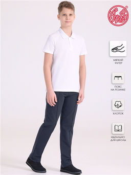 брюки 1ПББ4094258