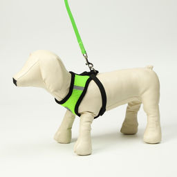 Комплект амуниции с мягкой шлейкой и светоотражающей нашивкой, S, ОШ 24 см, ОГ 28-33 см, зелёны 7149