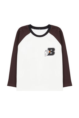 Ekru Erkek Cocuk Mevsimlik-Ince Renk Bloklu Bisiklet Yaka Orme Sweatshirt TKDAW25SW00005