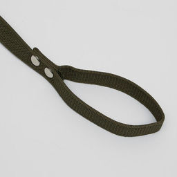 Поводок брезентовый, 2,7 м х 2,5 см - Пижон фото 3