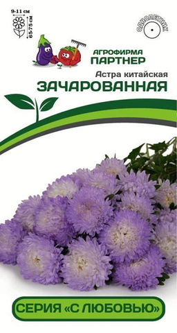 3280P Астра китайская ЗАЧАРОВАННАЯ 5шт