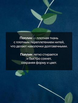Комплект наволочек Этель Эвкалипт (вид 2) 50х70 см - 2шт, поплин 125 г/м2  фото 5