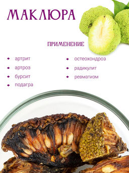Маклюра (Адамово яблоко) - Травы горного крыма фото 3
