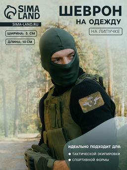 Шеврон на одежду ВДВ, на липучке, 10?5 см