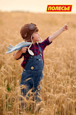 Самолёт-истребитель Шторм (в пакете) - Полесье фото 8