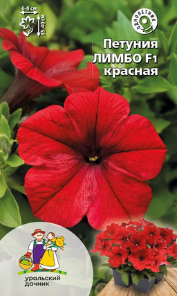 Петуния ЛИМБО F1 КРАСНАЯ