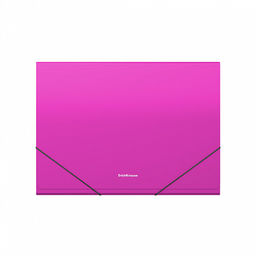 АКЦИЯ Цена за 4 шт. Папка-картотека пластиковая ErichKrause Matt Neon, с 13 отделениями, Check size, ассорти (в пакете по 4 шт.)  фото 15