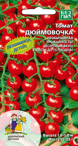 Томат ДЮЙМОВОЧКА В кисти до 15 плодов!