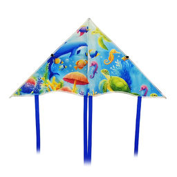 Змей воздушный "Разноцветный веер"