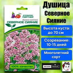 Душица (орегано) Северное Сияние - Партнер фото 2