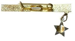 Значок Ленинград