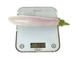 Баклажан Виталик - Партнер фото 6