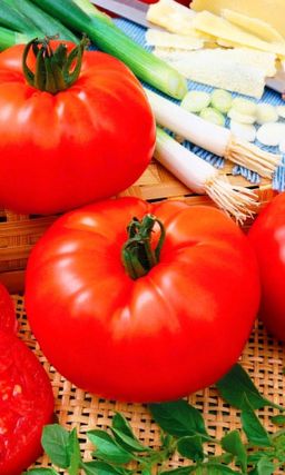 Томат МАСТЕР ГАРДЕН F1 Лауреат фермерских выставок! Крупноплодный! Неприхотливый!