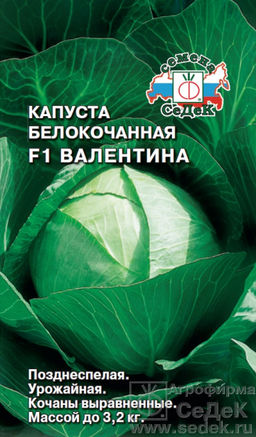 Капуста б/к Валентина F1 0,1г (СеДек)