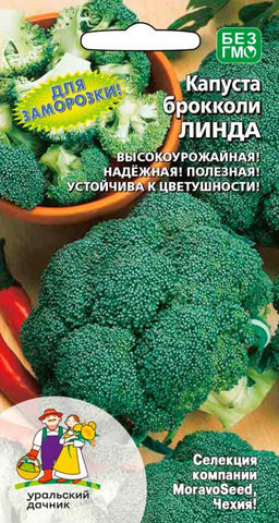 Капуста брокколи ЛИНДА Для заморозки просто чудо! Всегда стабильно высокие урожаи! Не зацветает!