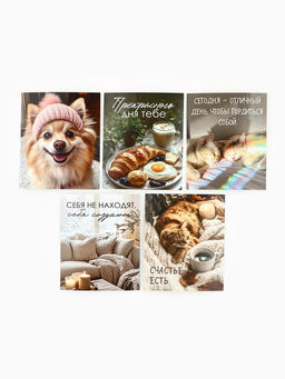 Набор мини-открыток в коробке со скрепками «Котики», 35 штук, 8 x 10 см