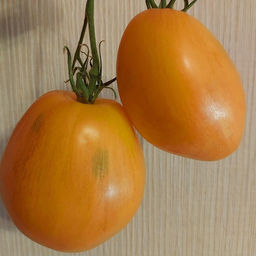 7019T Томат Дынный ликёр 5шт