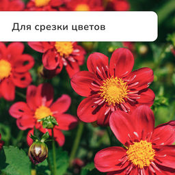 Секатор плоскостной, 7 (18 см), с пластиковыми ручками, Greengo  фото 8