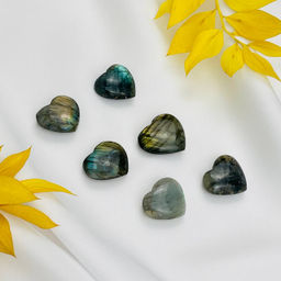 Сердце из Лабрадора
