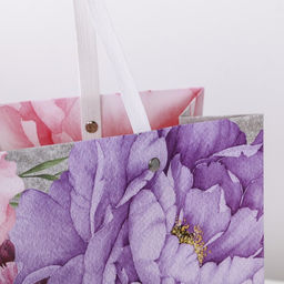 Цена за 2 шт. Пакет подарочный, упаковка, Dreams, 30?20?10 см