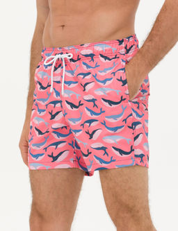 Pembe Deniz _ortu