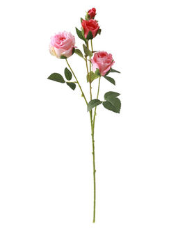 Цветы искусственные "Роза Августина галант" d-6 см 55 см, светло-розовый