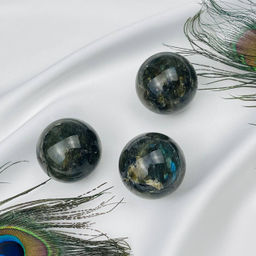 Шар из Лабрадора