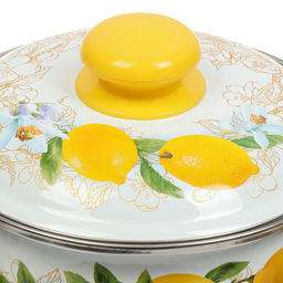 ЭМ_Кастрюля 2,0 л сфер. ЛИМОНЫ н/о, арт. 3МС161Р