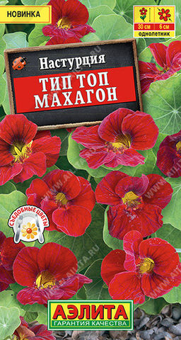 6110U Настурция Тип топ махагон 5шт