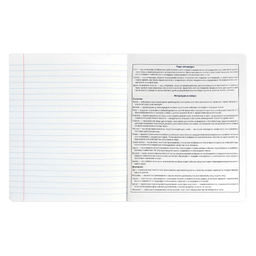 Тетрадь предметная арт. 69832/ 16 КОТЫ МЕМЫ ЛИТЕРАТУРА