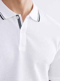 Polo Yaka Erkek Ti??rt